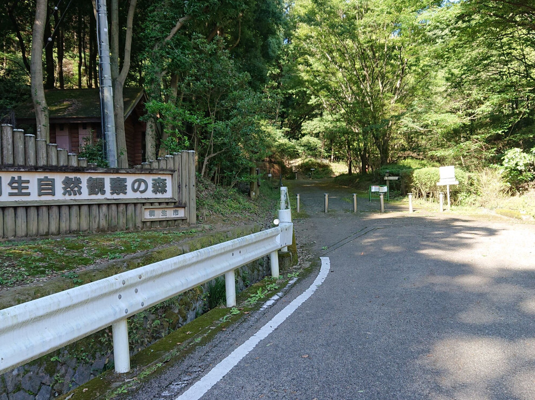 Kiryu Shizenkansatsu no Mori景点图片