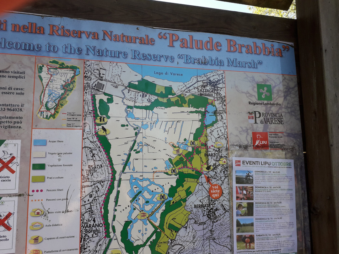Palude Brabbia Oasi LIPU景点图片