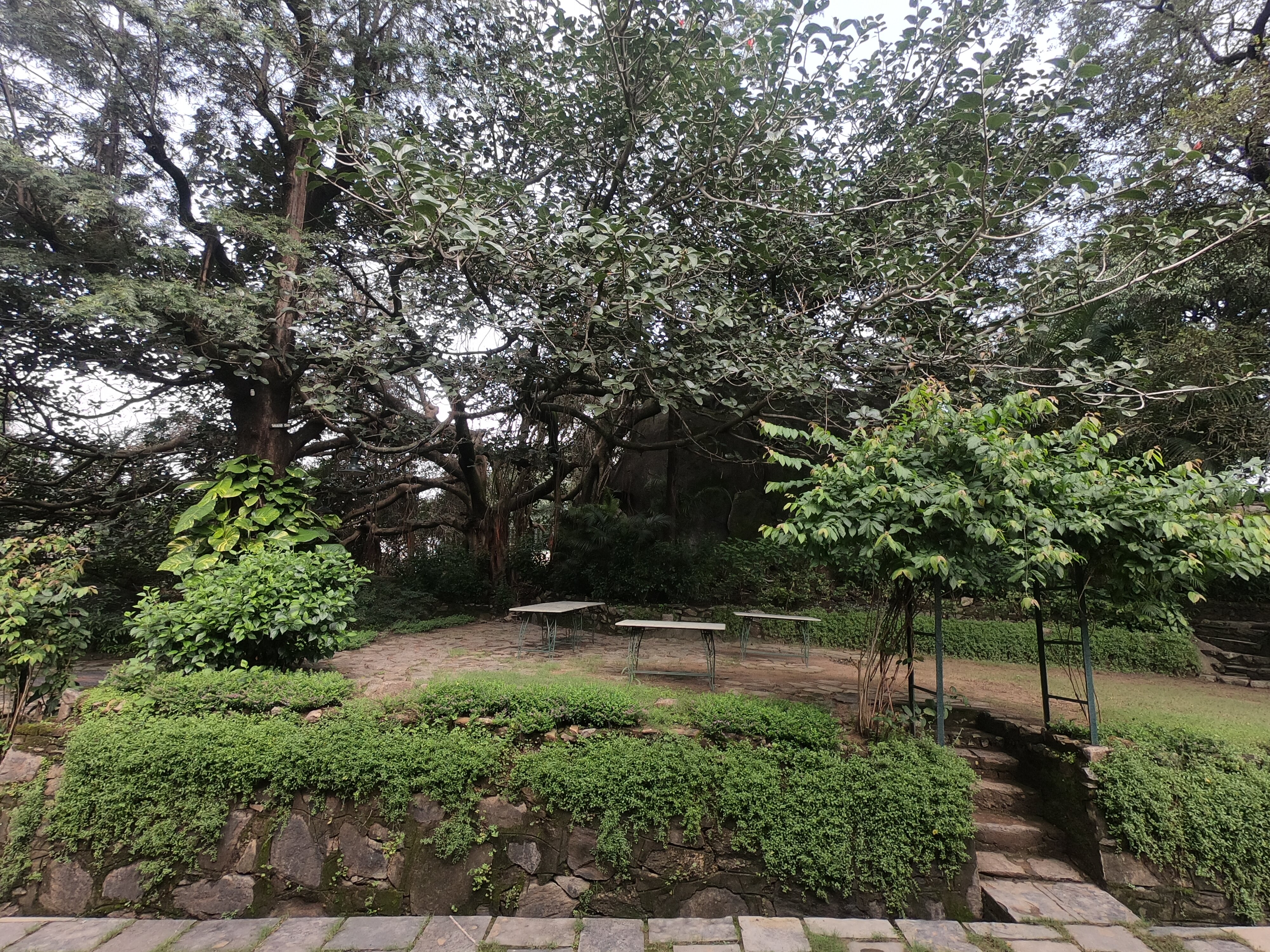 WelcomHeritage Connaught House-酒店景观