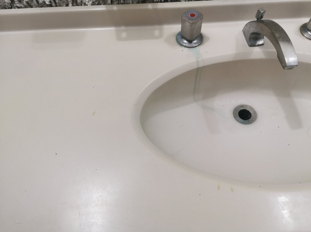 Hotel Plaza Palmas主图