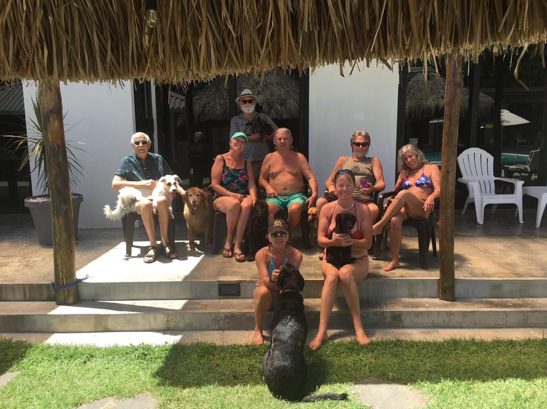 Show Pony Beach Resort主图