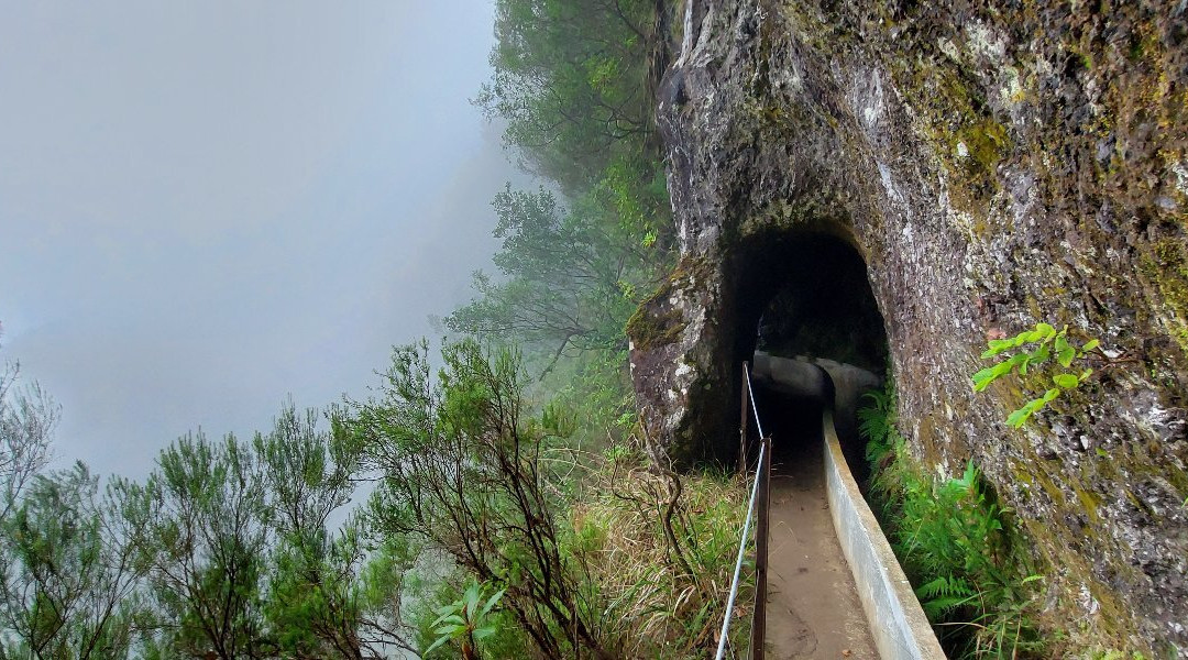 Levada do Furado-Santana必去景点