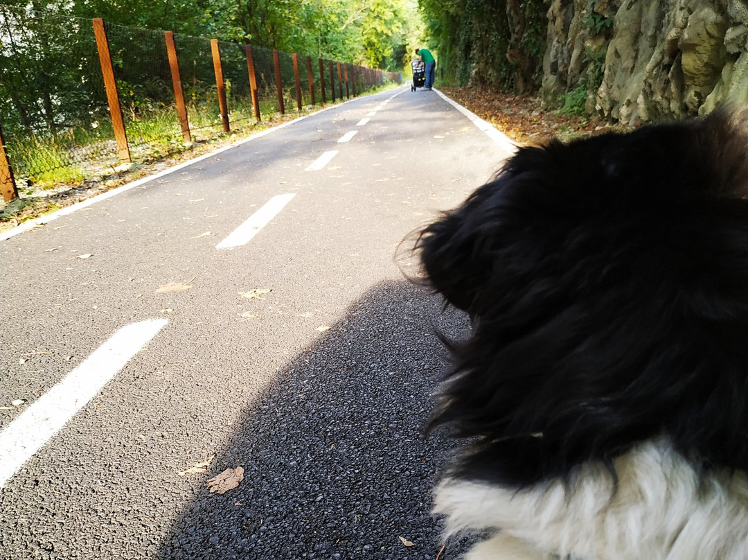 Ciclovia Valle Brembana景点图片