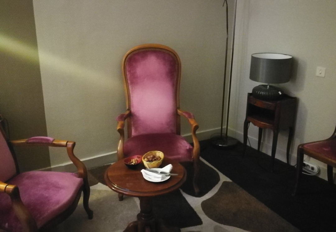 Logis Hôtel du Dauphin主图