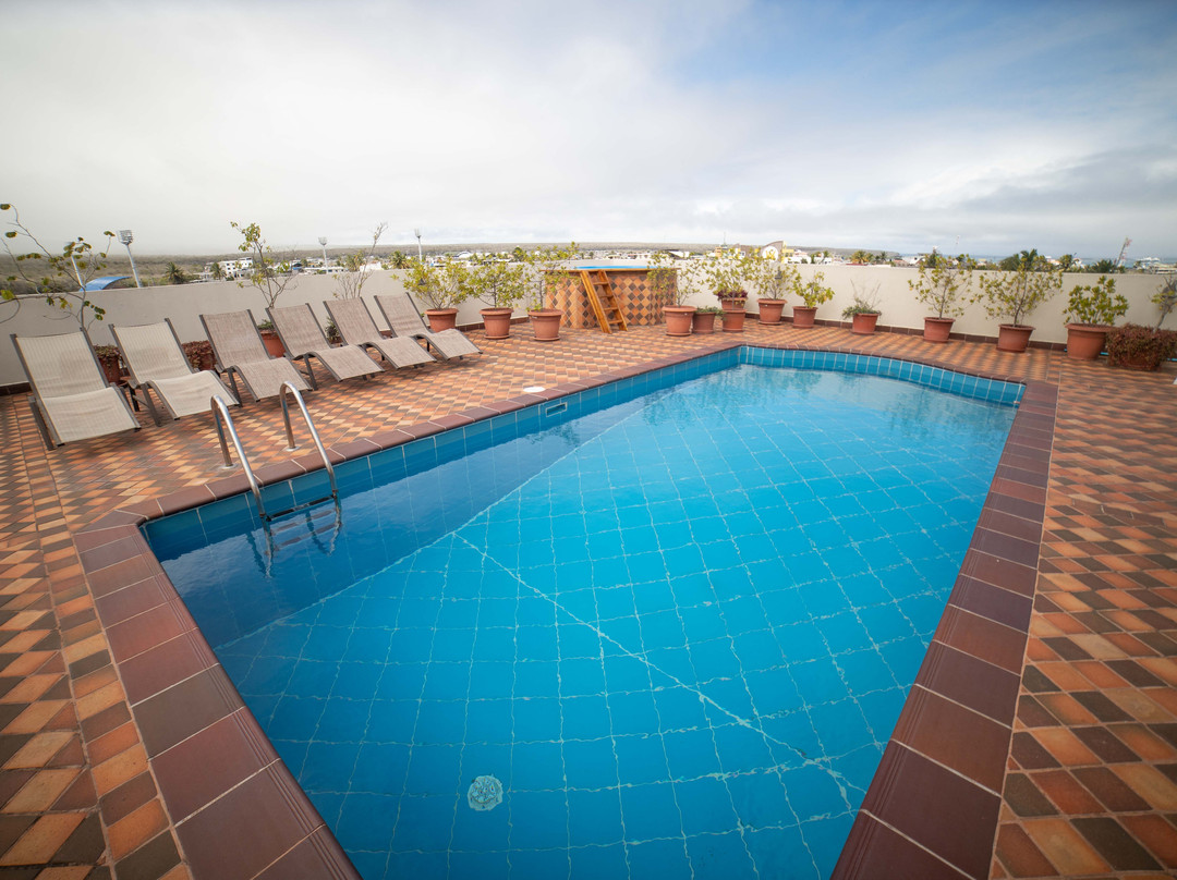 Hotel Albatross主图