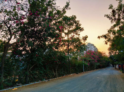 Wagholi旅游攻略图片