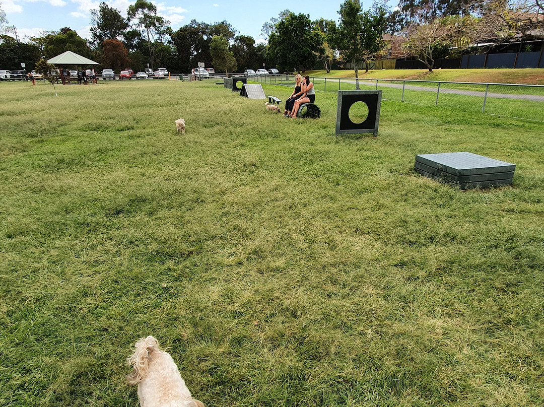 Frascott Small Dog Fenced Agility Dog Park-Varsity Lakes必去景点