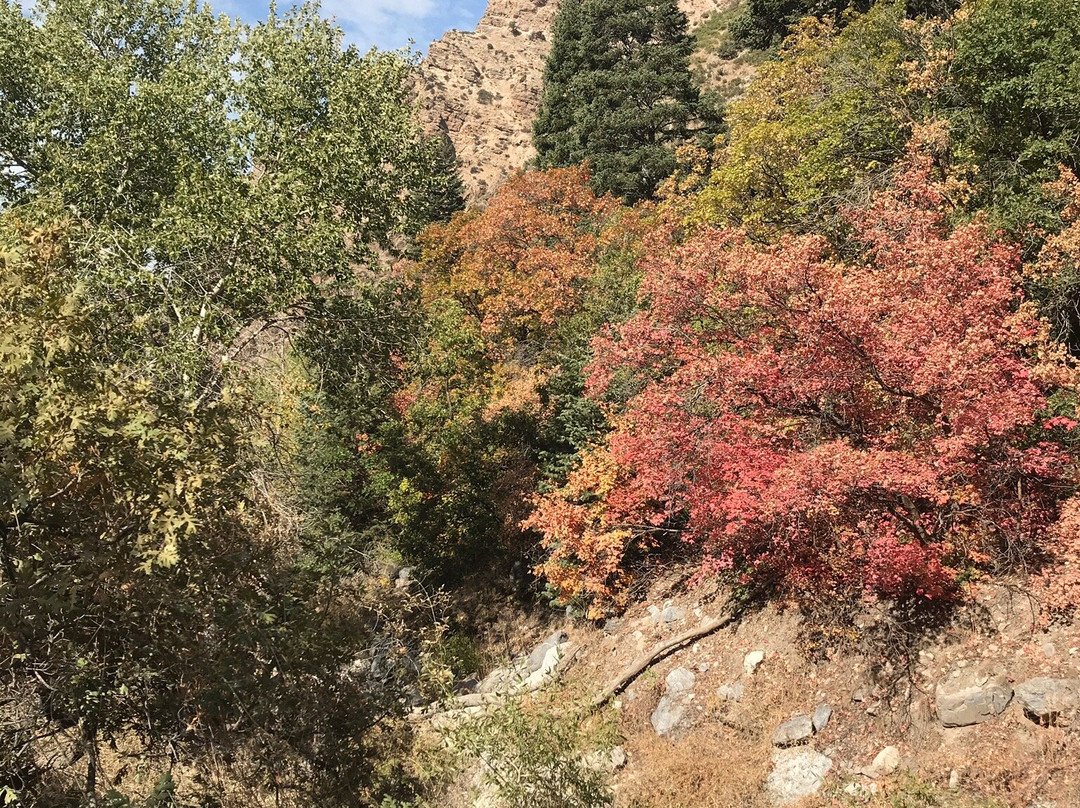Rock Canyon景点图片