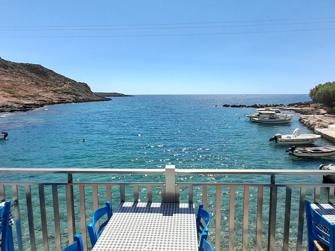 The Old Phoenix主图