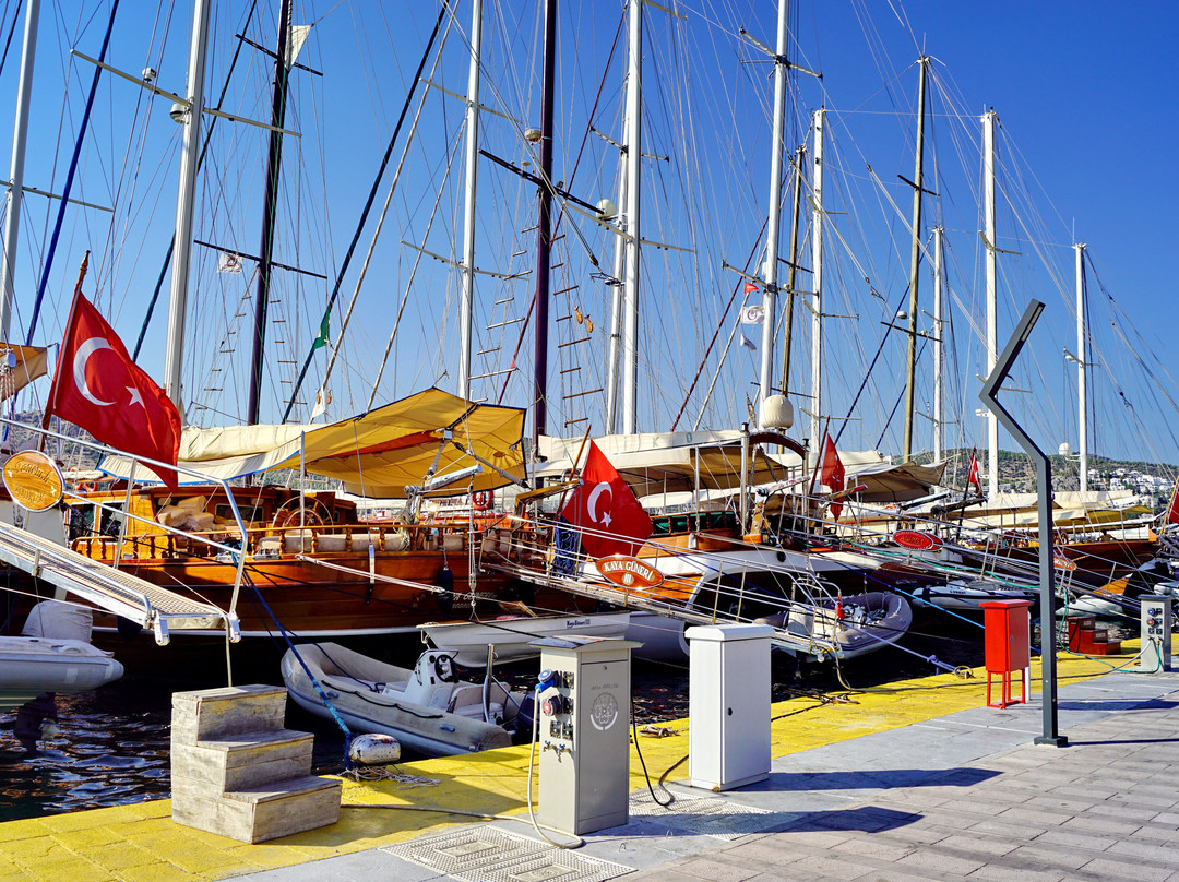 Milta Bodrum Marina景点图片