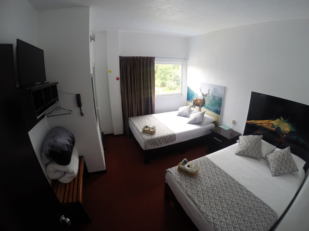 Hotel Maragreens主图