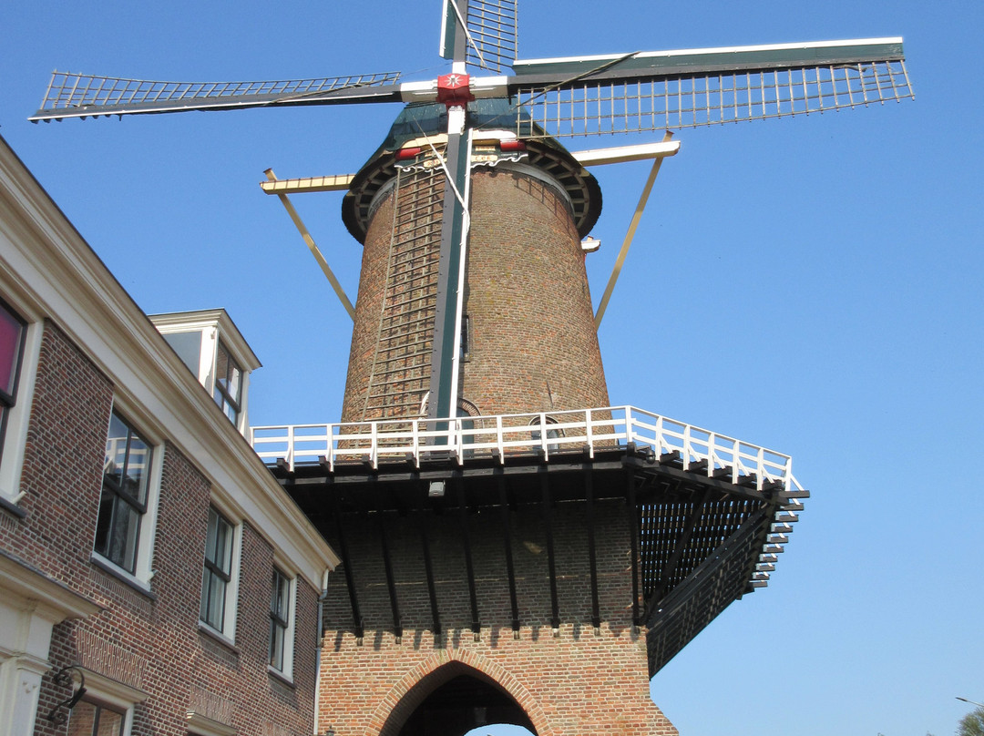 Rijn en Lek Windmill-Wijk bij Duurstede必去景点