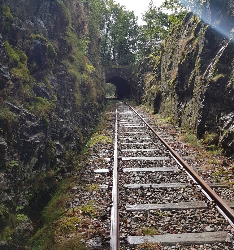 Dresinsykling på Flekkefjordsbanen Day Tours-弗莱克菲尤尔必去景点