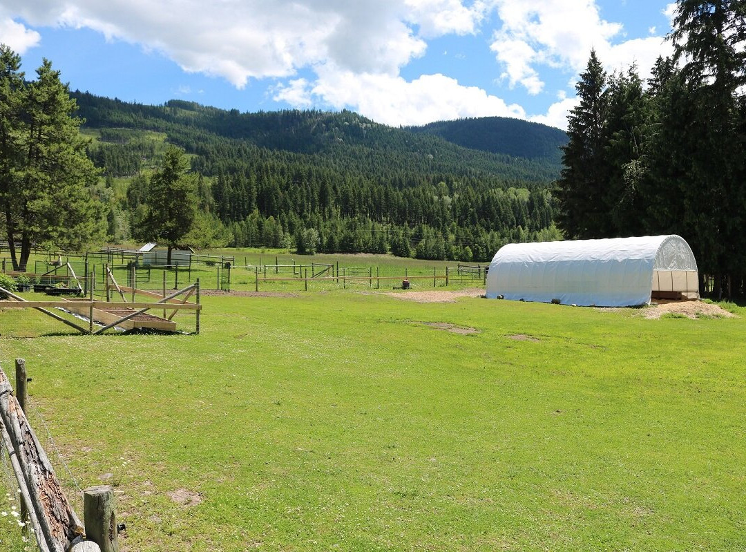 The Llama Sanctuary-Tappen必去景点