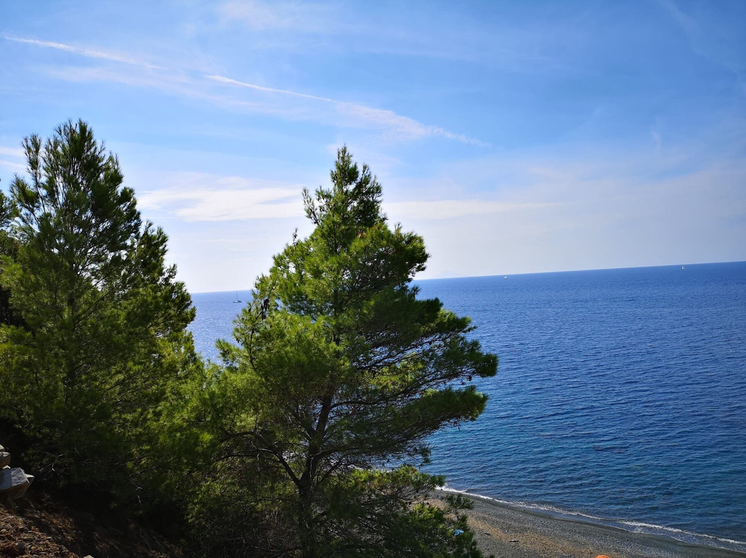 Spiaggia di Palombaia-Marina di Campo必去景点