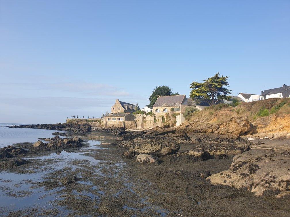 Domaine de la Roche Vilaine景点图片