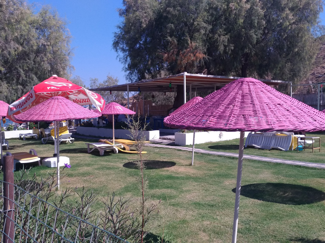 Karaincir Halk Plajı景点图片