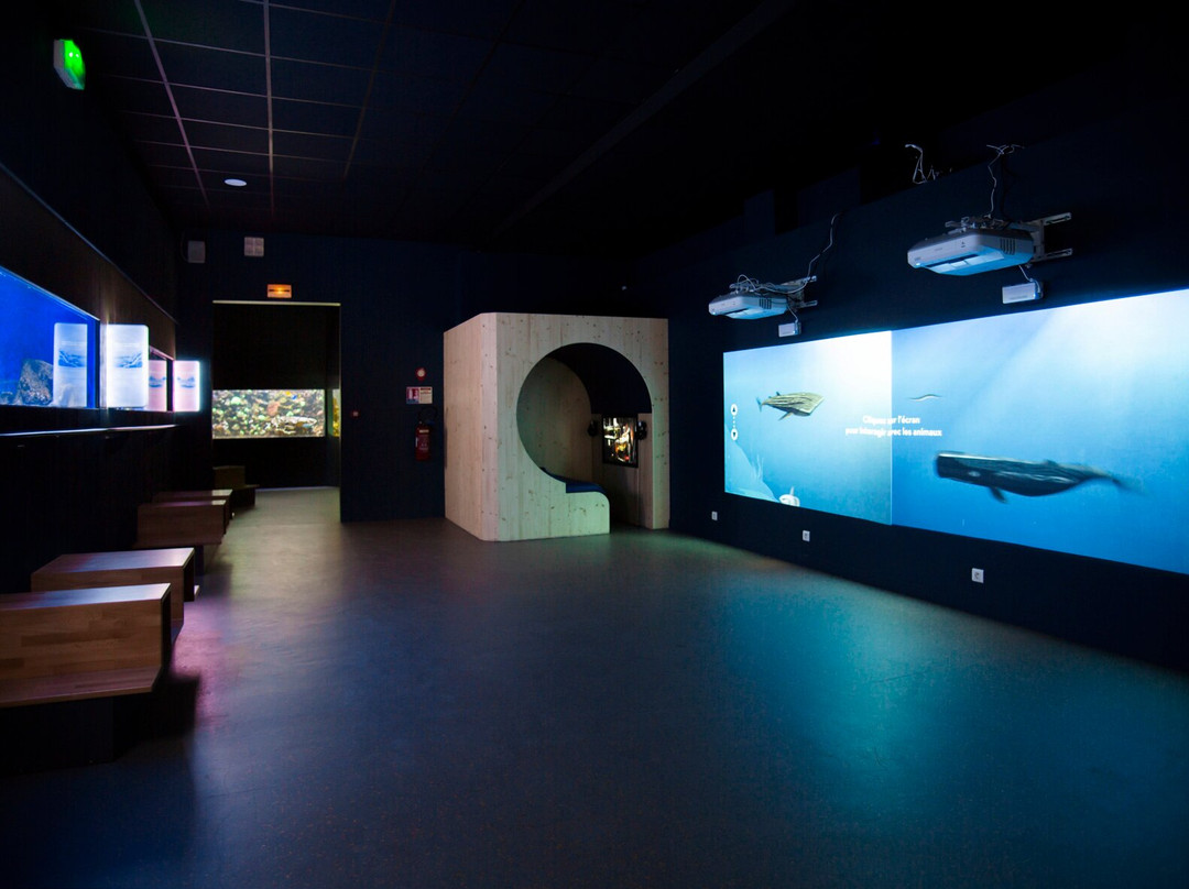 Muséum-Aquarium de Nancy景点图片
