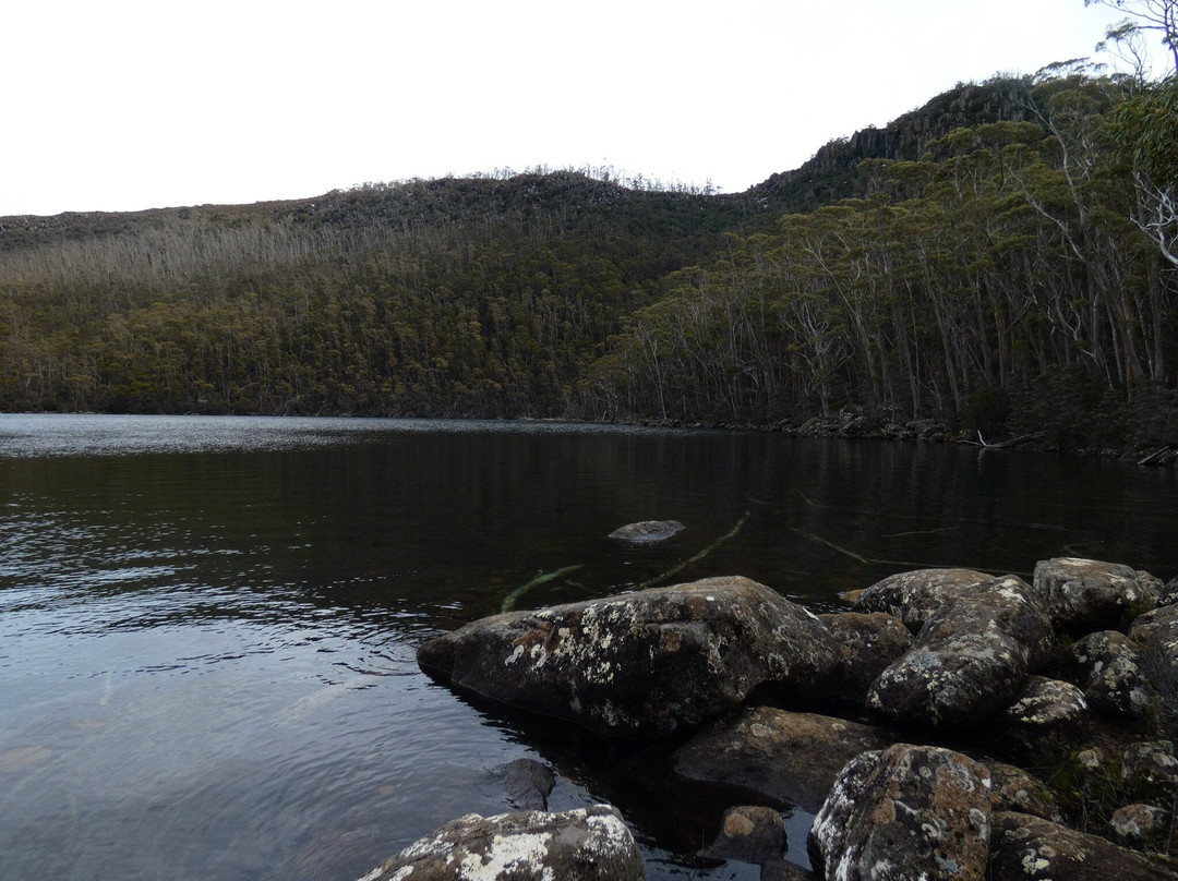 Lake Nicholls景点图片