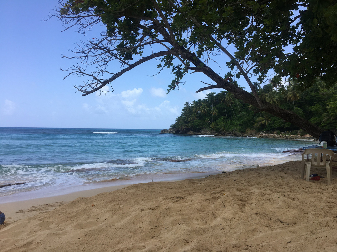 Michel Transfers And Tours-喀巴里特必去景点