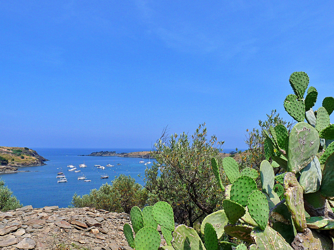 Isla Port Lligat景点图片