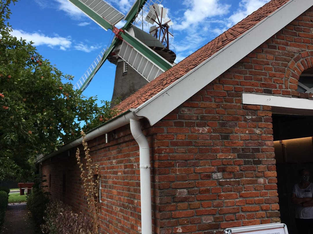 Schortens旅游攻略图片