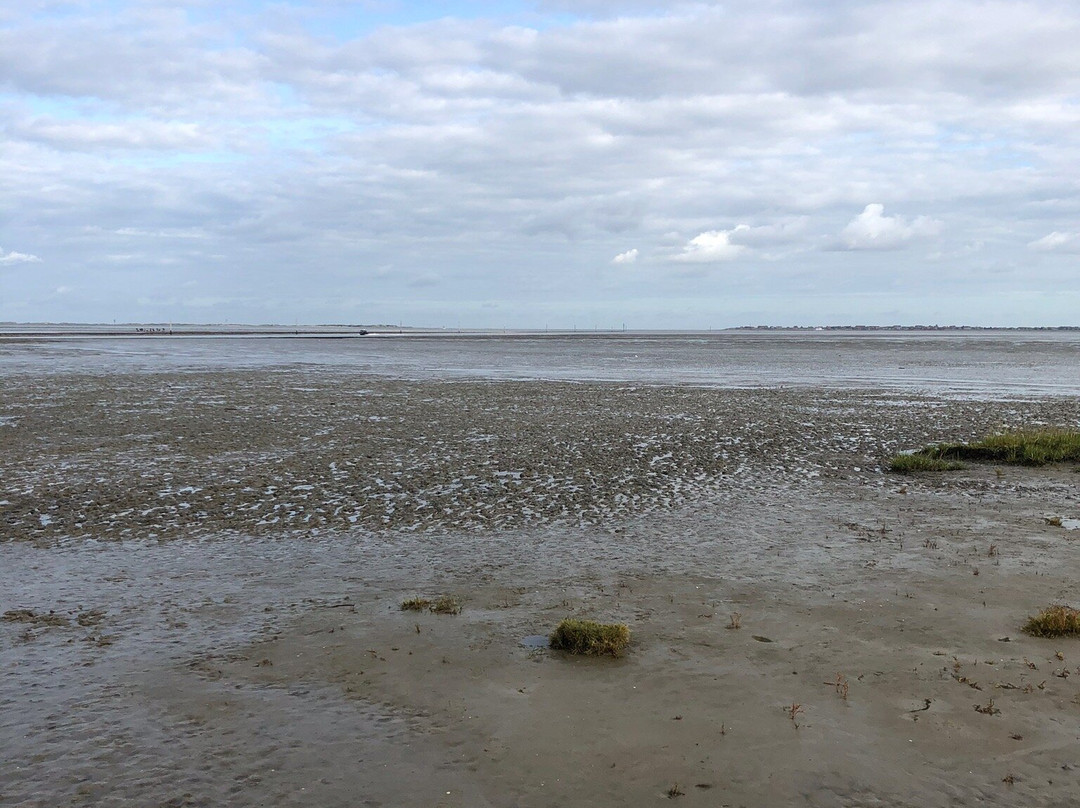 Riekens - Wir sind Watt-Dornum必去景点