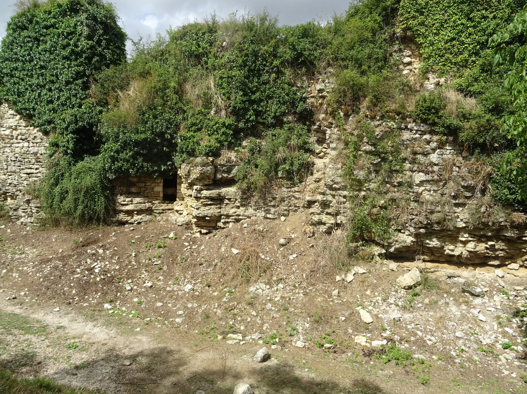 Chateau de Coudray-Salbart景点图片