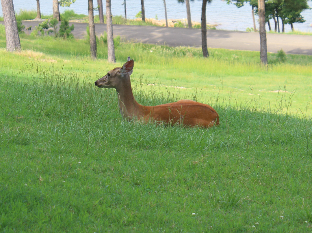 Lakeview Lodge主图