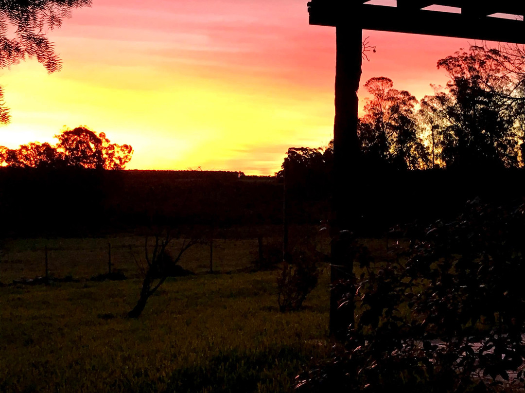 Chacrita del Sur主图