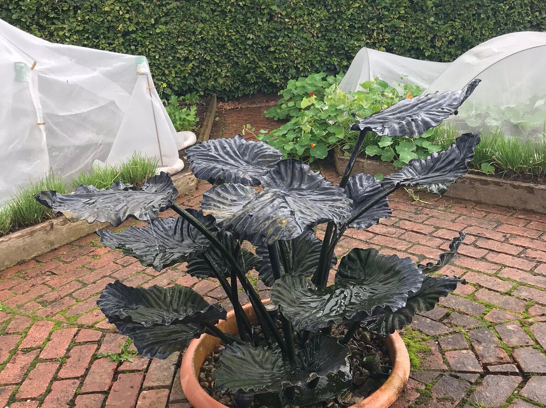 Yeo Valley Organic Garden-Blagdon必去景点