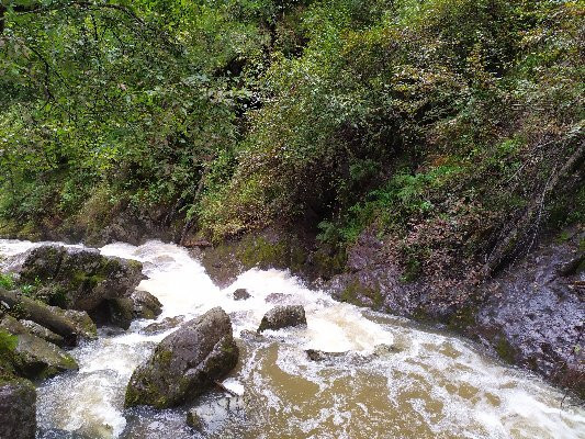 Cascading Waterfalls Third River景点图片