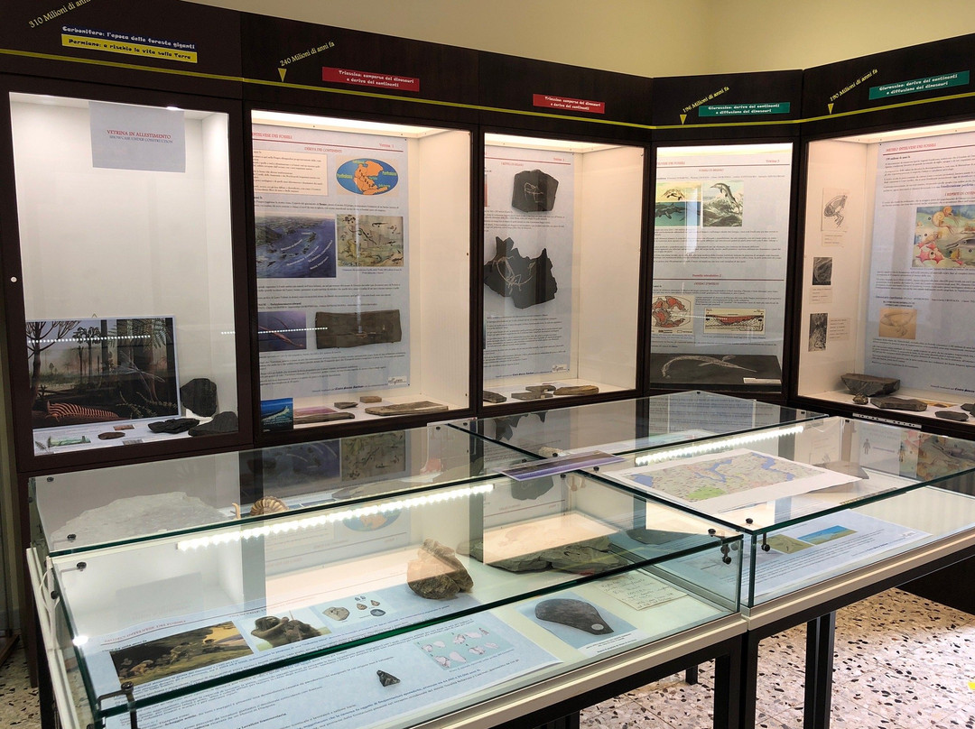Museo Intelvese Dei Fossili景点图片