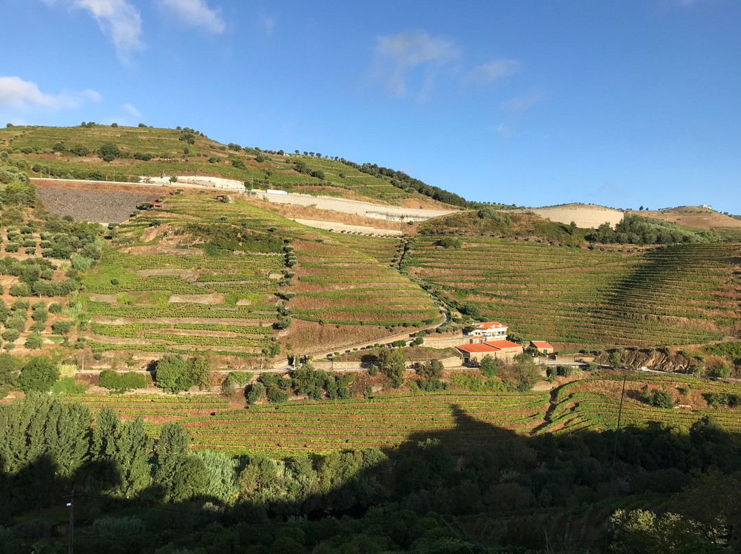 Quinta do Vallado主图