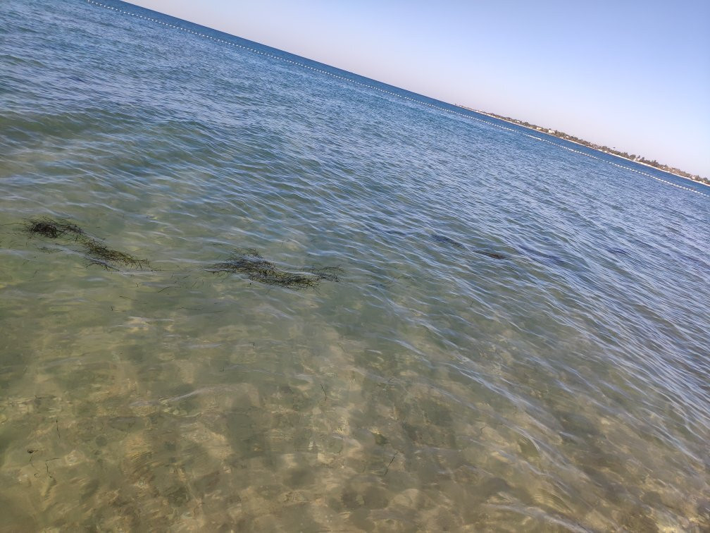 Lazurny Bereg Beach-Yevpatoriya必去景点