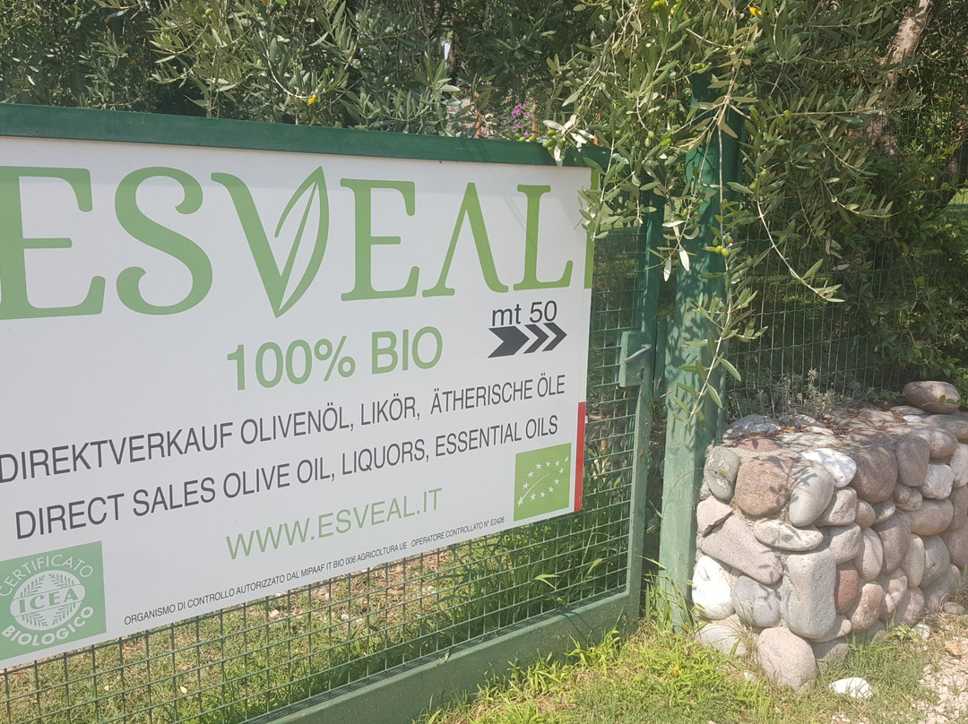 Esveal-巴尔多利诺必去景点