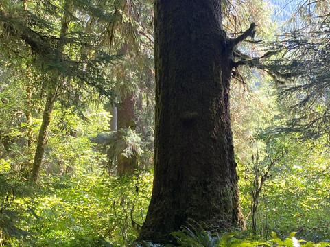 Explore Vancouver Island-纳奈莫必去景点