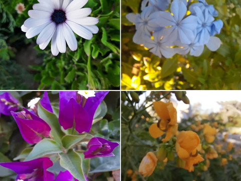 Ile de Bendor-邦多勒必去景点