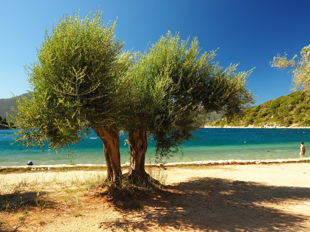 Dexia Beach-Vathy必去景点