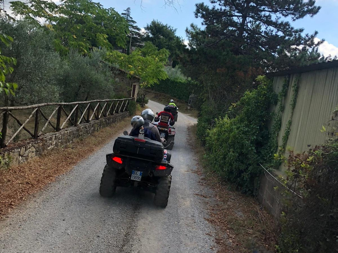 Crazy Quad Toscana景点图片