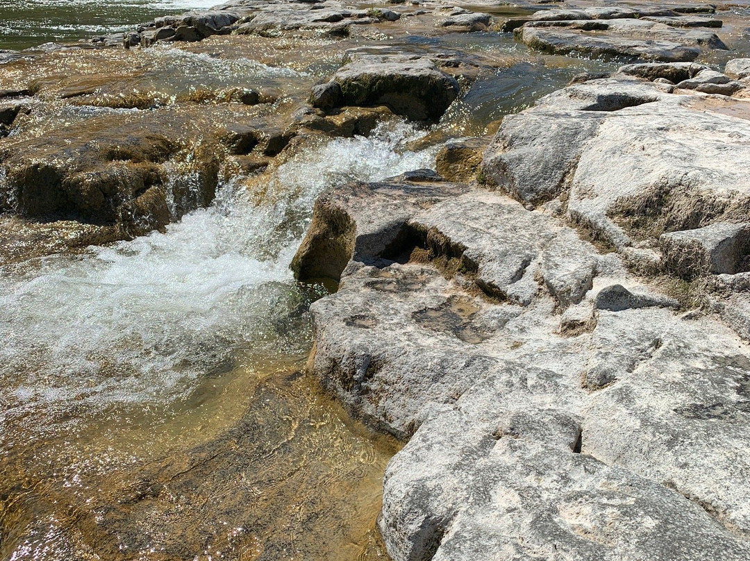 Falls Reserve Conservation Area景点图片