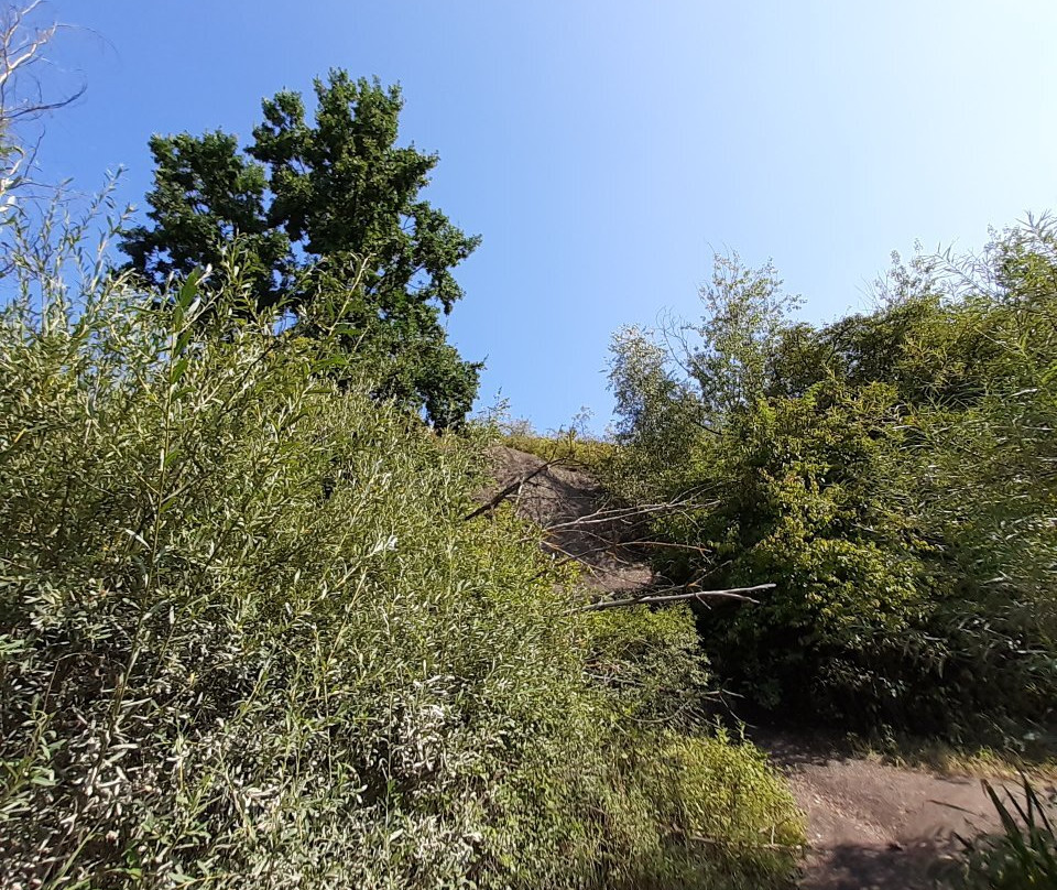 Pepper Mountains Reservation景点图片