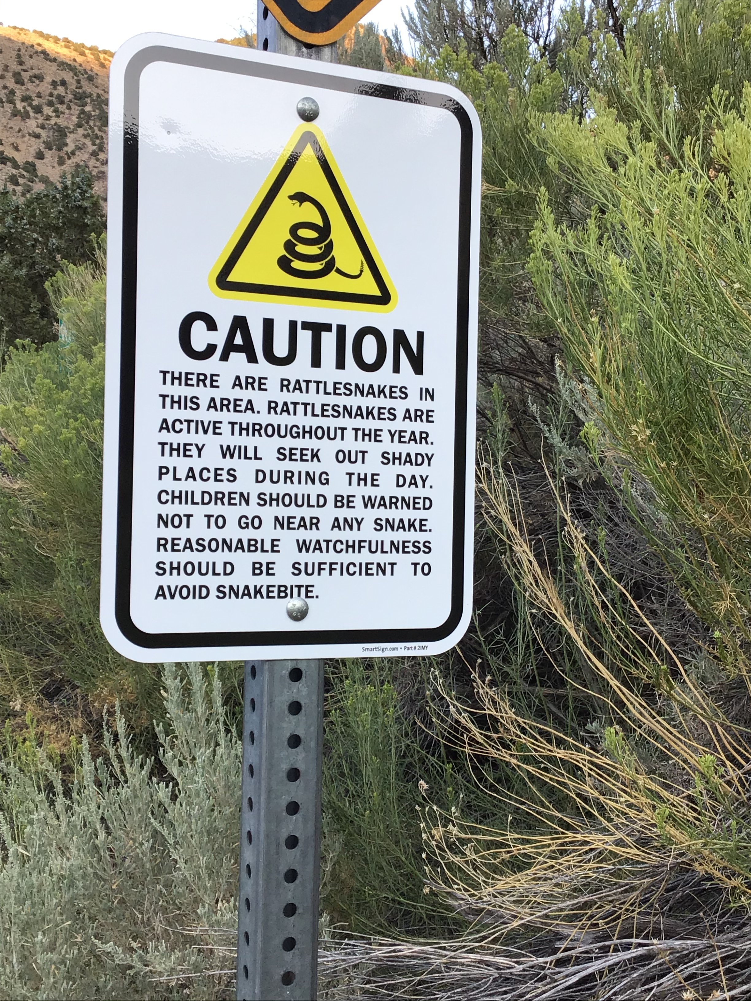 Big Rock Candy Mountain Resort-家庭/游戏区