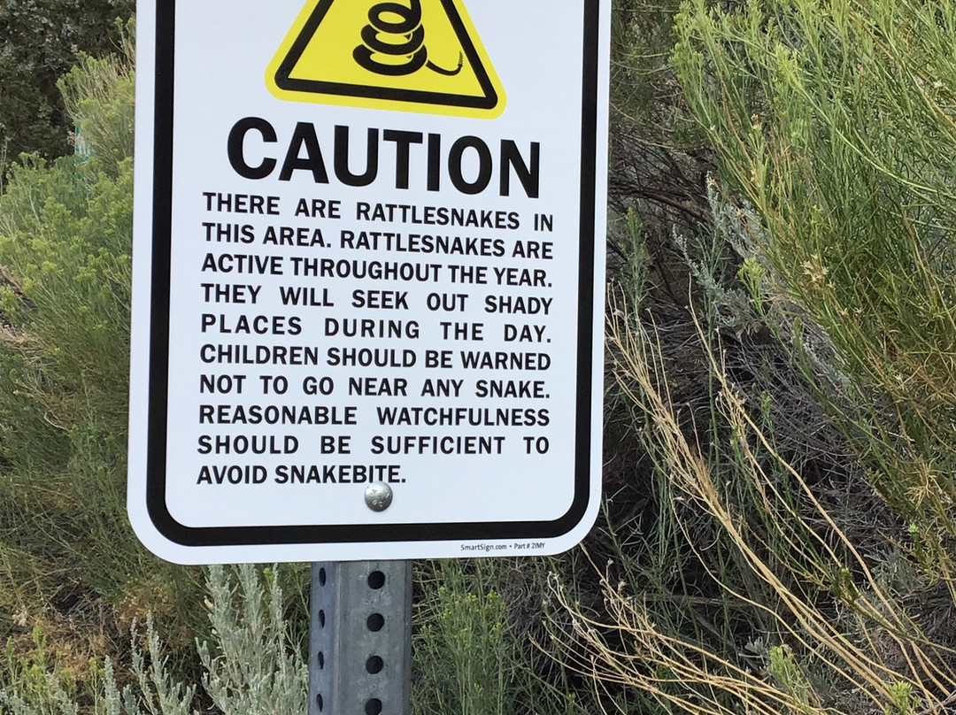 Big Rock Candy Mountain Resort主图