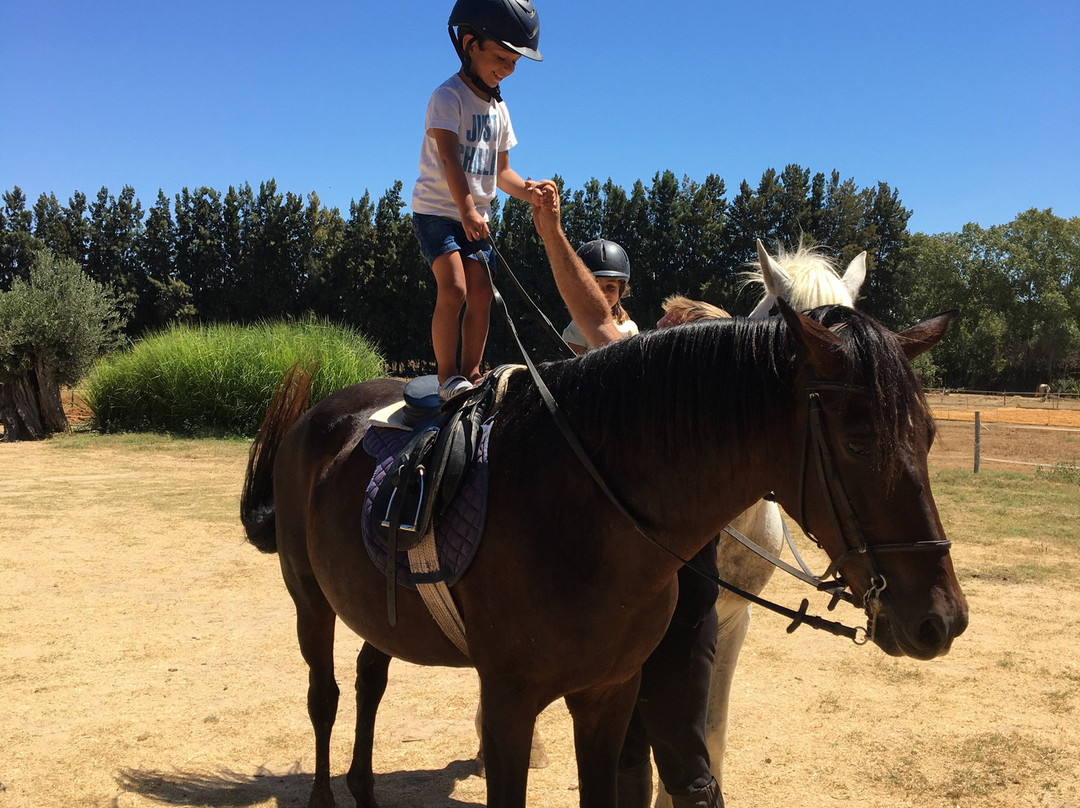 Tavira Equestrian Tourism-塔维拉必去景点