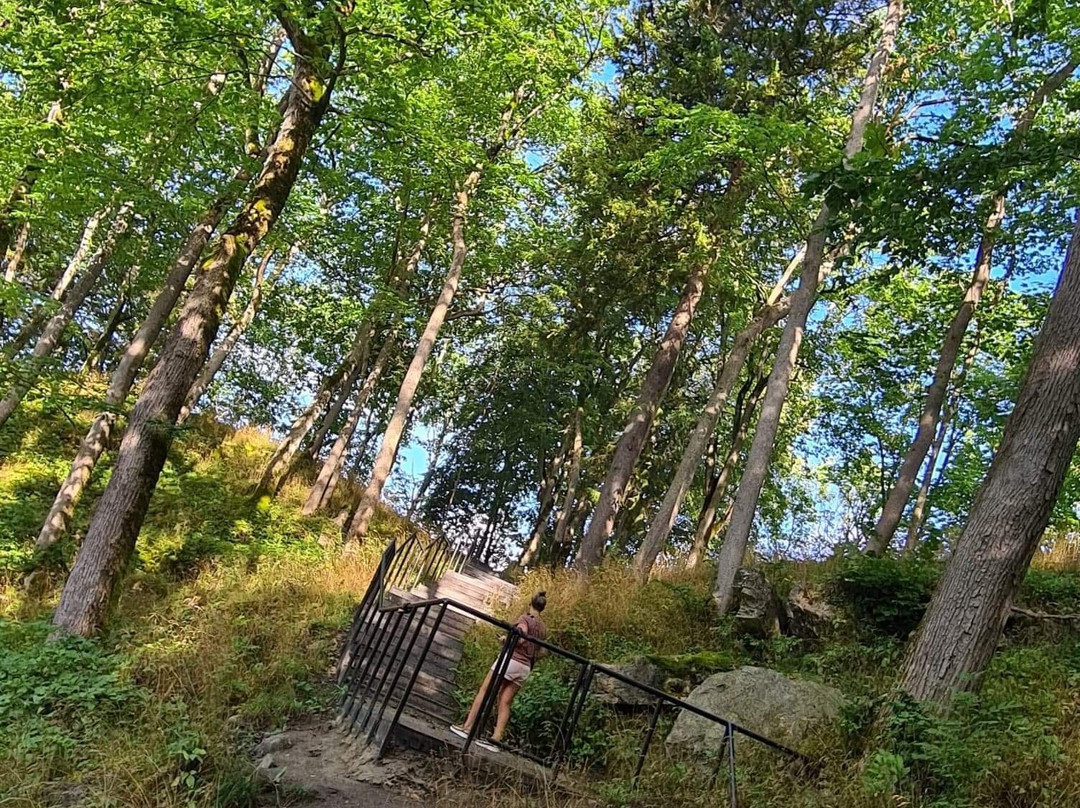 Kaali Meteorite Crater-Saaremaa必去景点