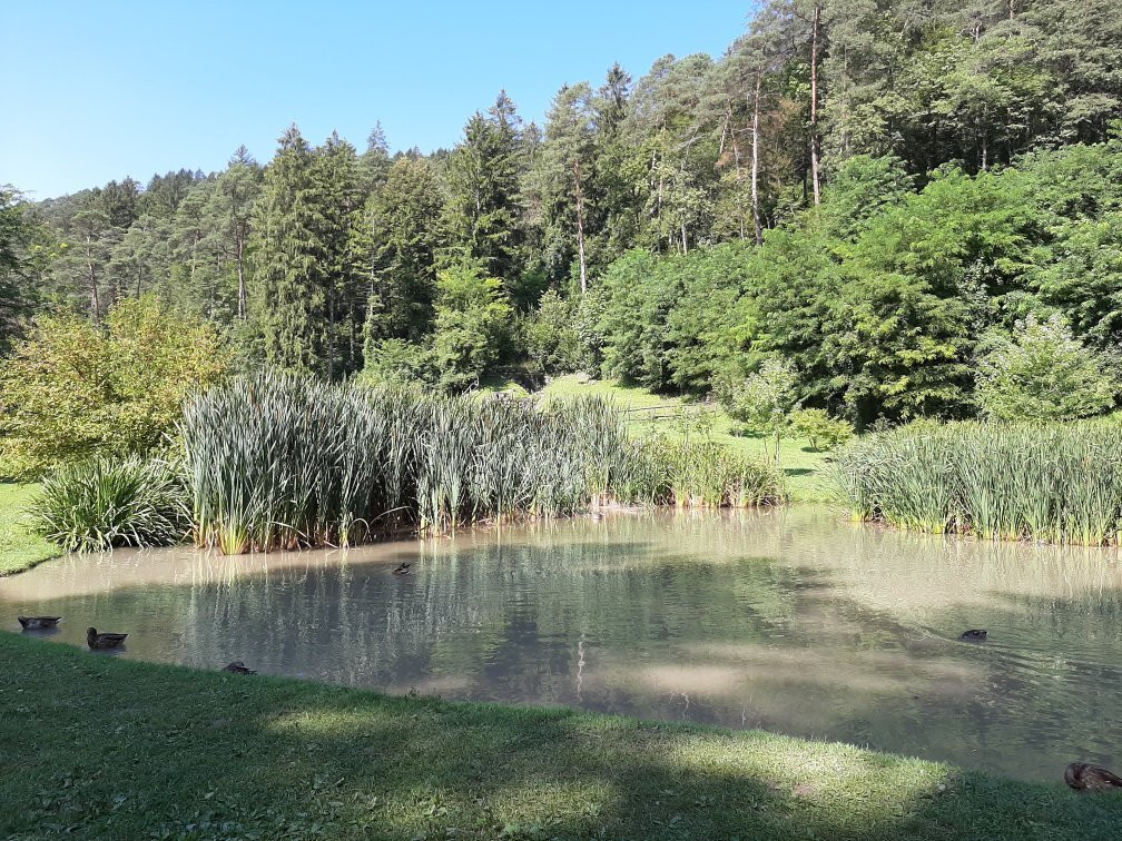Parco delle Terme di Comano景点图片
