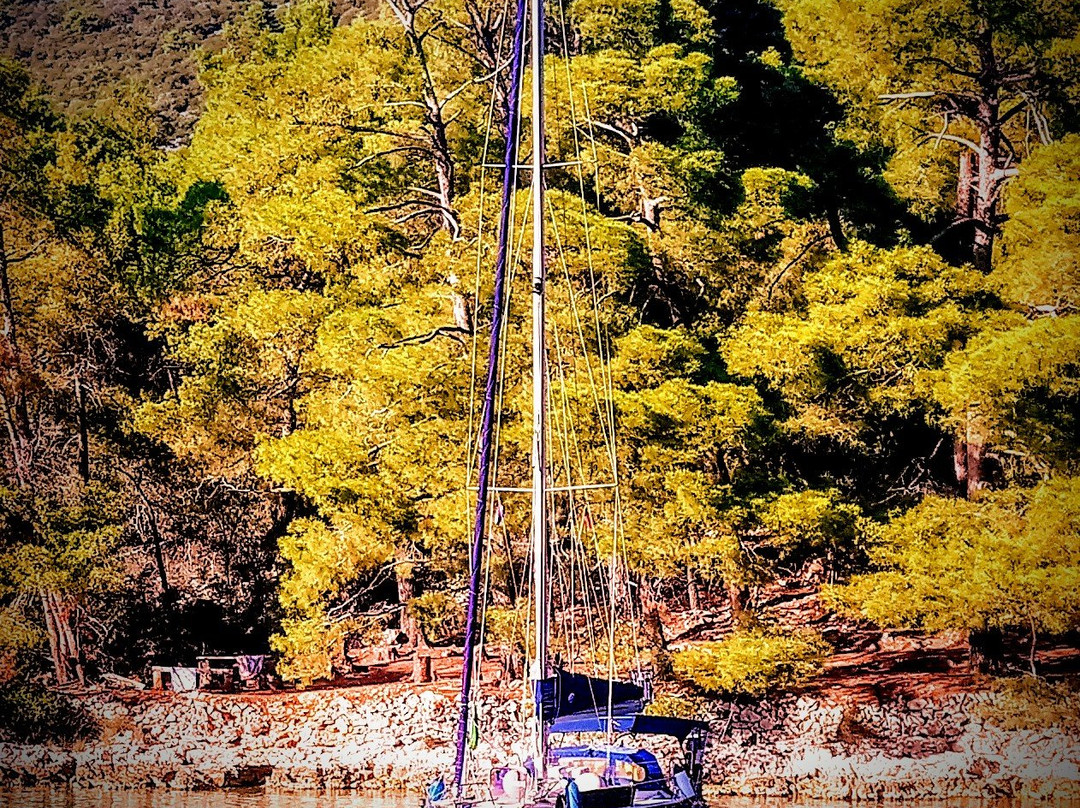 Krivica景点图片