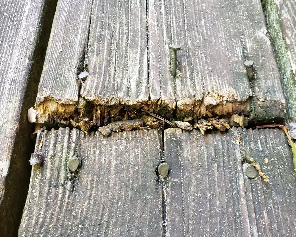 Oakwood Resort主图