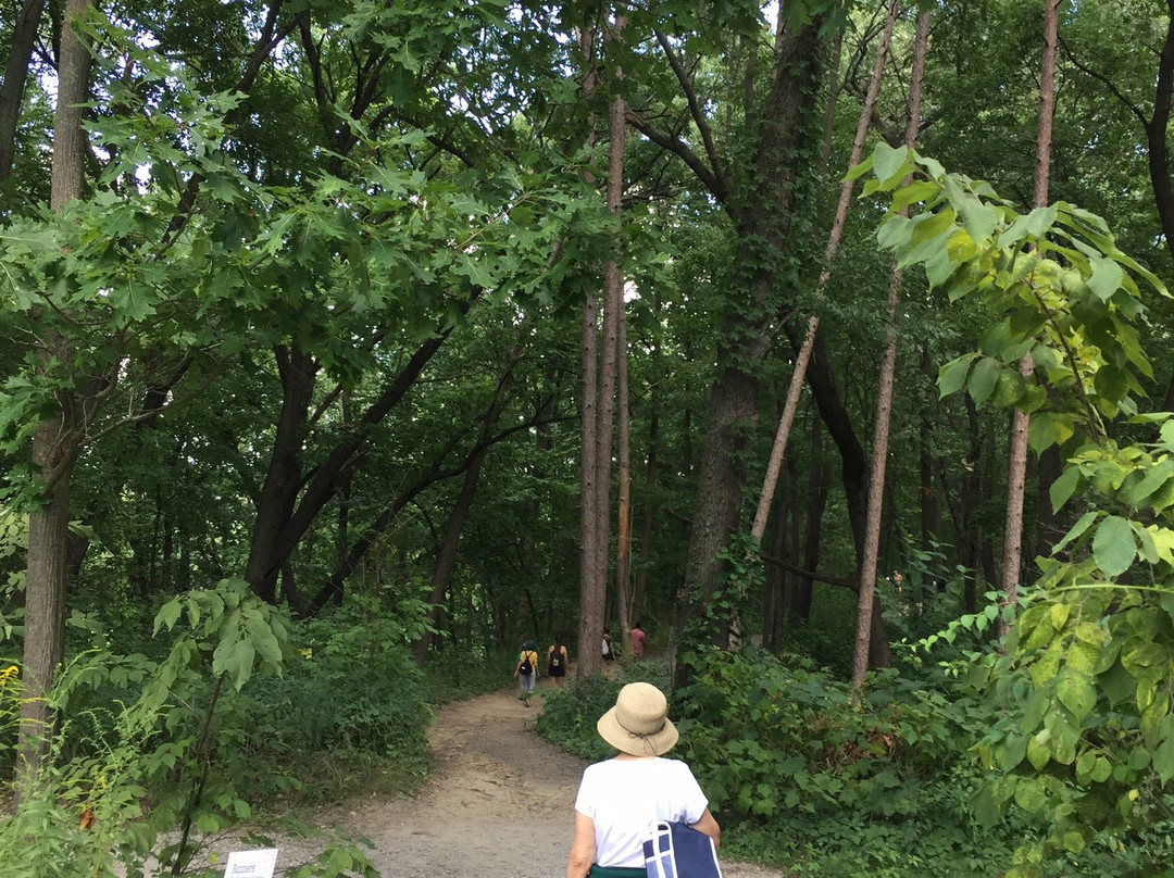 Nichols Arboretum-安娜堡必去景点